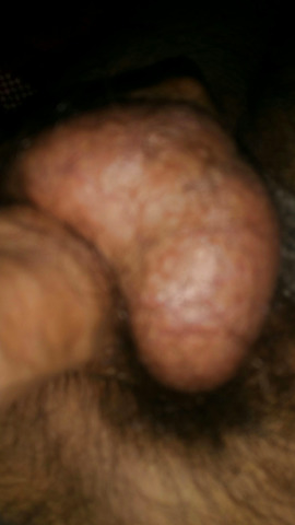mi polla, mi guebo, my dick, my cock