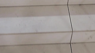 Cute babe sucks me off before fucking
