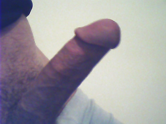 my cock - abrigado
