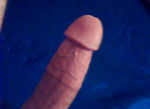 big cock - abrigado