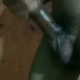 Ardi40