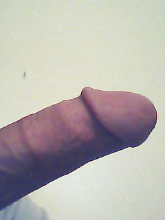 my cock - abrigado