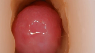 Aften Opal is licking Kira Perez's pussy