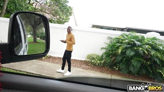 Marica Chanelle gets her pussy licked by black stranger