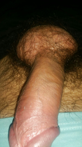 mi polla, mi guebo, my dick, my cock