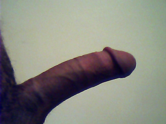 my cock - abrigado