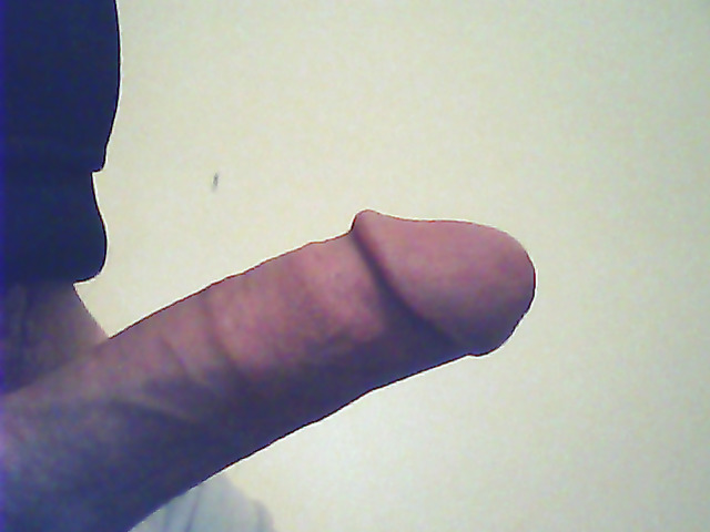 my cock - abrigado