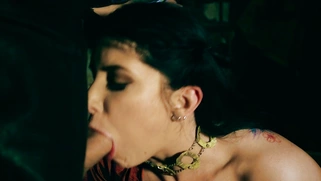 Busty Romi Rain sucking the big Xander Corvus' cock